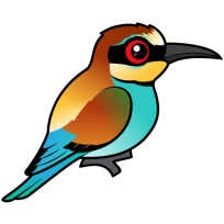 European Bee-eater