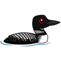 Common Loon