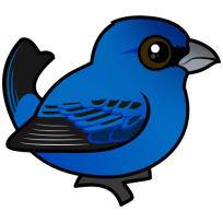 Indigo Bunting