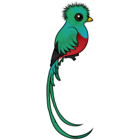 Resplendent Quetzal