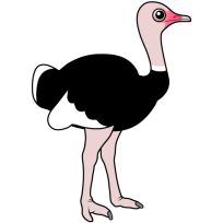 Ostrich