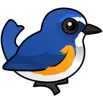 Red-flanked Bluetail