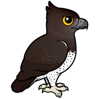 Martial Eagle