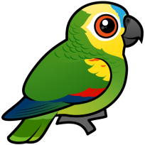 Blue-fronted Parrot
