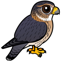 Merlin