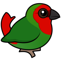 Red-headed Parrotfinch