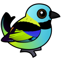 Green-headed Tanager