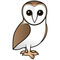 Barn Owl