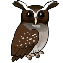 Crested Owl