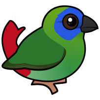 Blue-faced Parrotfinch