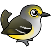 White-eyed Vireo