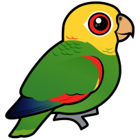 Yellow-headed Amazon