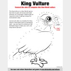 King Vulture Connect the Dots