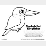 Stork-billed Kingfisher Coloring Page