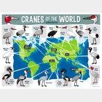 Cranes of the World Map