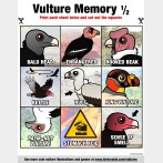 Vulture Memory