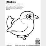 'Akeke'e Coloring Page