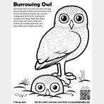 Burrowing Owl Coloring Page