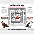 Vulture Maze