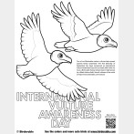 International Vulture Awareness Day Coloring Page