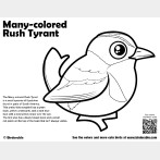 Many-colored Rush Tyrant Coloring Page