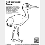 Red-crowned Crane Coloring Page