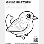 Chestnut-sided Warbler Coloring Page