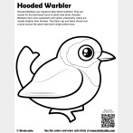 Hooded Warbler Coloring Page