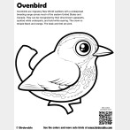 Ovenbird Coloring Page