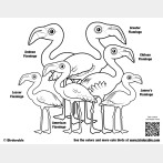 Flamboyance of Flamingos Coloring Page
