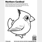 Northern Cardinal Coloring Page