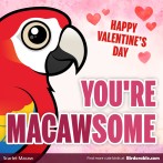 Valentine's Day "You're MACAWSOME" Shareable Graphic
