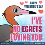 Valentine's Day Funny "No Egrets" Shareable Graphic