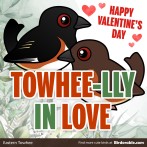 Valentine's Day "Towhee-lly In Love" Shareable Graphic