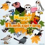 Birdorable Happy Thanksgiving Shareable Graphic