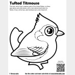 Tufted Titmouse Coloring Page
