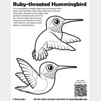 Ruby-throated Hummingbird Coloring Page