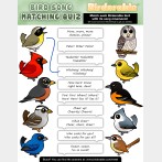 Bird Song Quiz