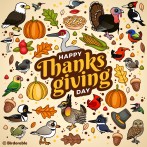 Birdorable Happy Thanksgiving Day Shareable Graphic