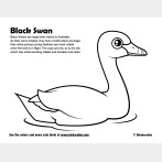 Black Swan Coloring Page