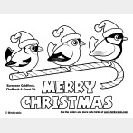 Christmas European Backyard Birds Coloring Page