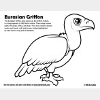 Eurasian Griffon Coloring Page