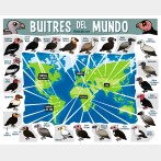 Buitres del Mundo