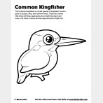 Common Kingfisher Coloring Page