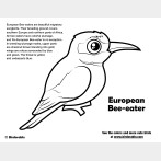 European Bee-eater Coloring Page