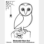 Halloween Barn Owl Coloring Page