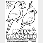 Halloween Scarlet Macaw and Cockatiel Coloring Page
