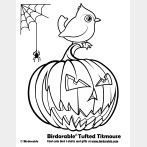 Halloween Tufted Titmouse Coloring Page