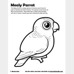 Mealy Parrot Coloring Page