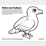 Palm-nut Vulture Coloring Page